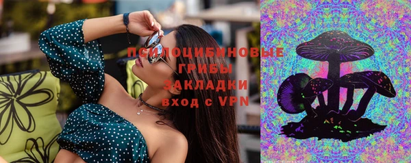 ECSTASY Заводоуковск