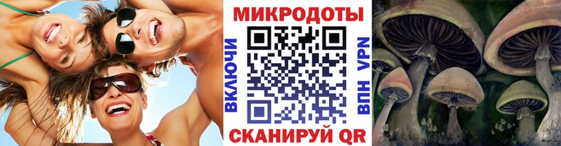 Псилоцибиновые грибы мицелий  Купить где  Никольск 